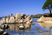 B体育:国际乒联公布最新规则,樊振东、孙颖莎自动入围澎湃新闻.