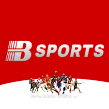 B体育(sports)唯一官方网站